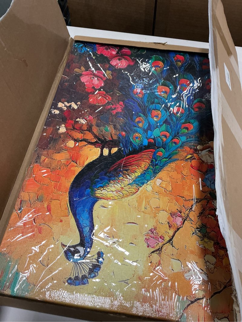 Condition photo showing Good Condition for Flower Peacock Art 16*24 Surreal Peacock