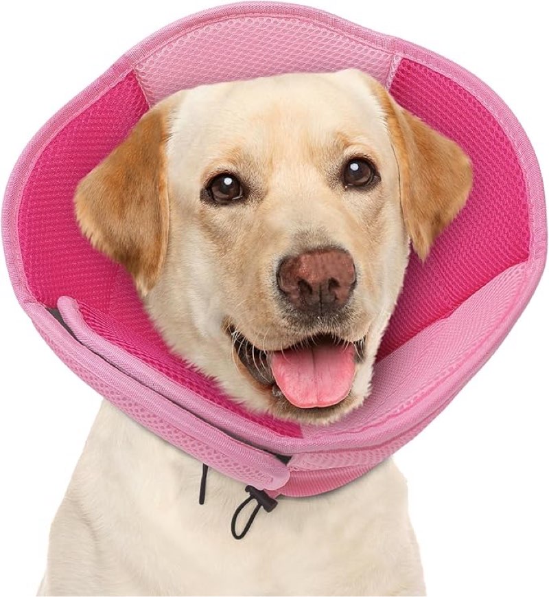 aofitee dog cone for dogs after surgery, soft dog cone collar for large medium small dogs, adjustable dog recovery collars & cones, breathable elizabethan collar for dogs to prevent licking wounds