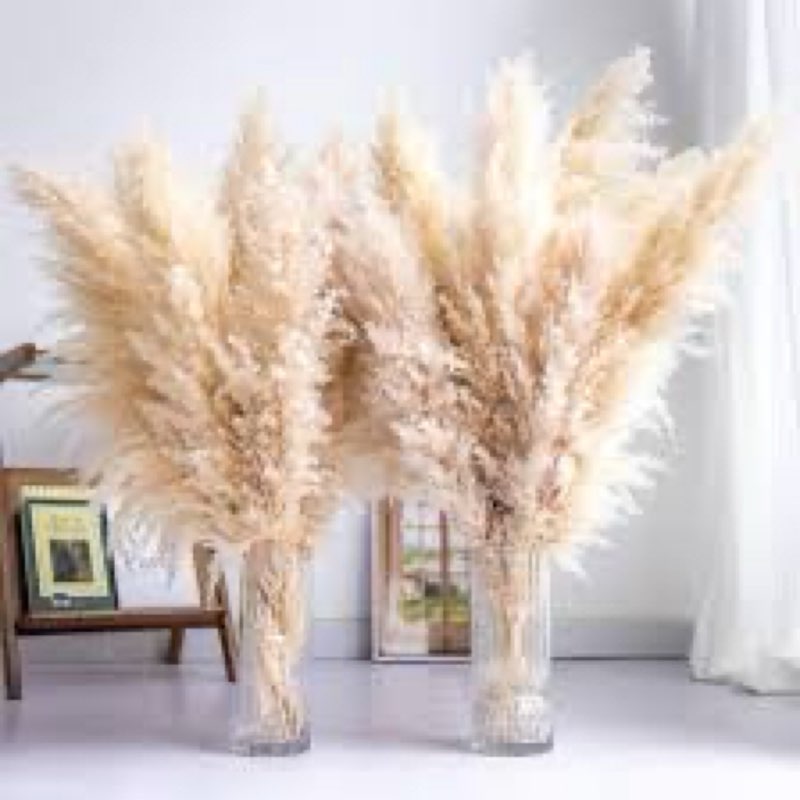 Wavwavw 24pcs 38 Inch Dried Pampas Grass Decor Bulk, Fluffy Tall Natural Pampas Grass Bouquet for Fl