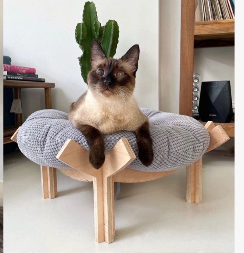Asian-inspired Modern Cat Bed from If Cats Can Fly