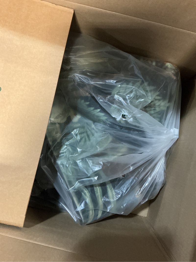 Condition photo showing Good Condition for LIVEBOX Washable Bedroom Rug 8x10 Under Bed, Modern Stain Resistant Dark Green Botanical Rug for Liv