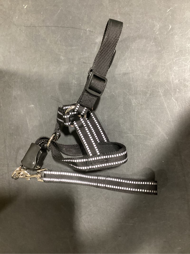 Condition photo showing Good Condition for PetSafe Gentle Leader Headcollar No-Pull Dog Collar - Helps Improve Walks - Durable Nylon Construction - Padded Nose Loop - Adjustable Fit - Comfort Walking Halter - Medium, Black Medium Black