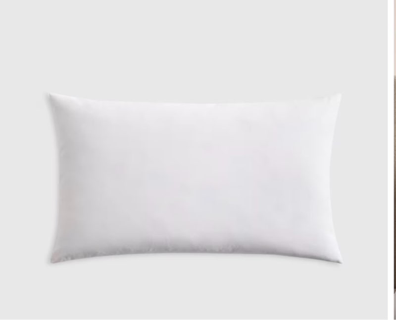 quince premium feather pillow insert ( 12’ x 20’ in) 