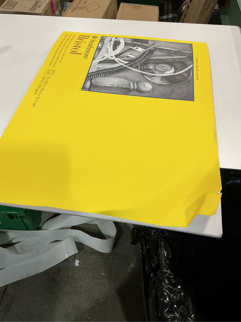 strathmore 300 series bristol vellum pad for artists and students, 22 x 30 inches, 10 sheets for drawing, sketching, and printing