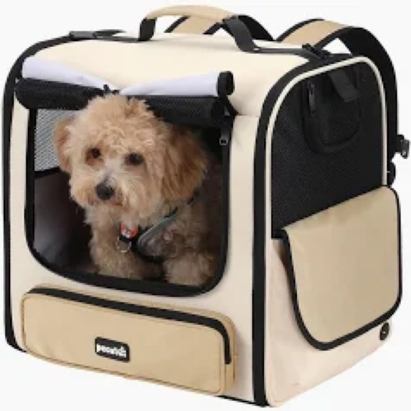 pecute cat carrier backpack pet carrier backpack widen large space