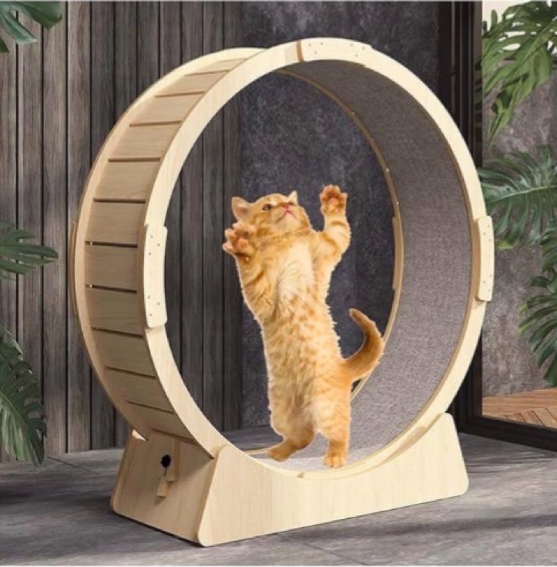 cat exercise wheel wooden cat treadmill 39 inch