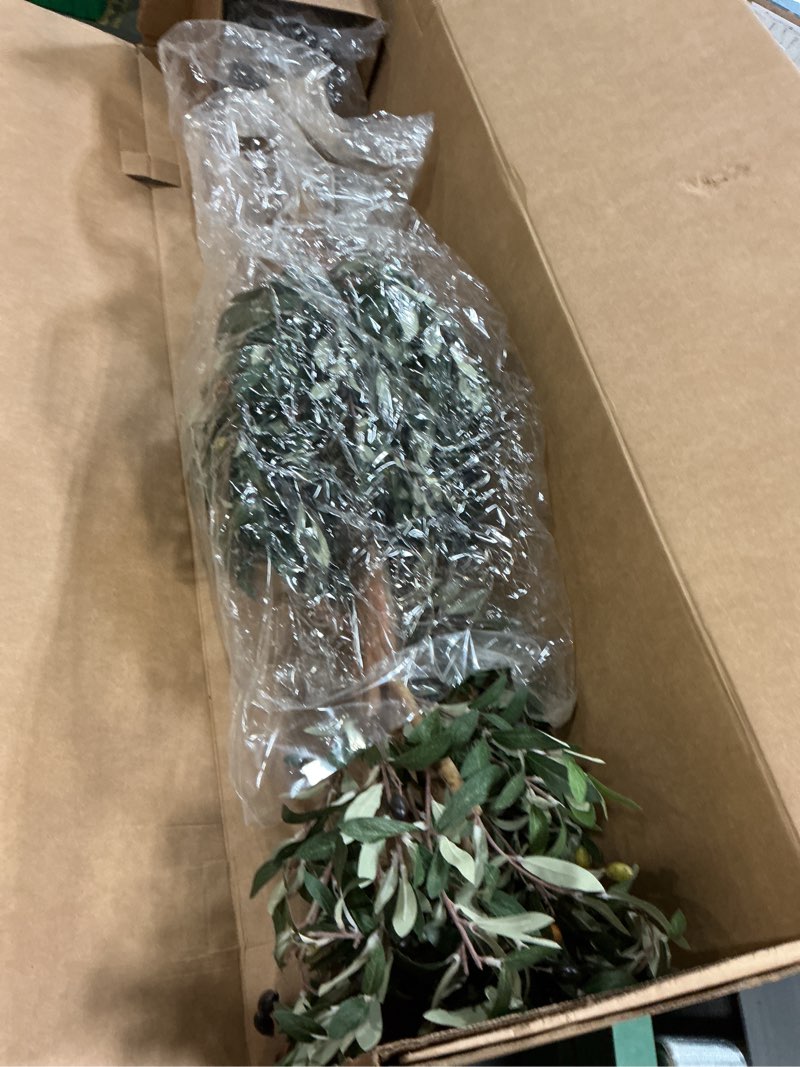 Condition photo showing New/Like New for nearly natural 4.5ft. olive double topiary artificial tree
