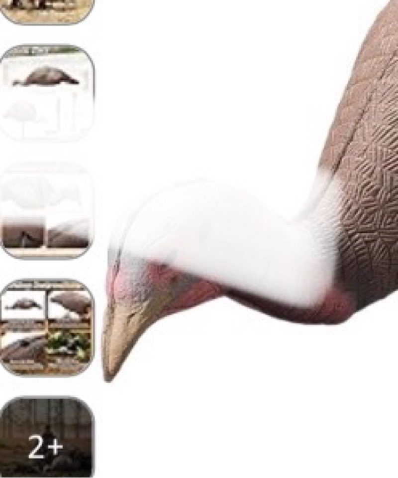 Hollowfly 2 Pack Collapsible Hen and Jake Combo Decoy for Hunting - Lightweight Standing Lifelike Tu