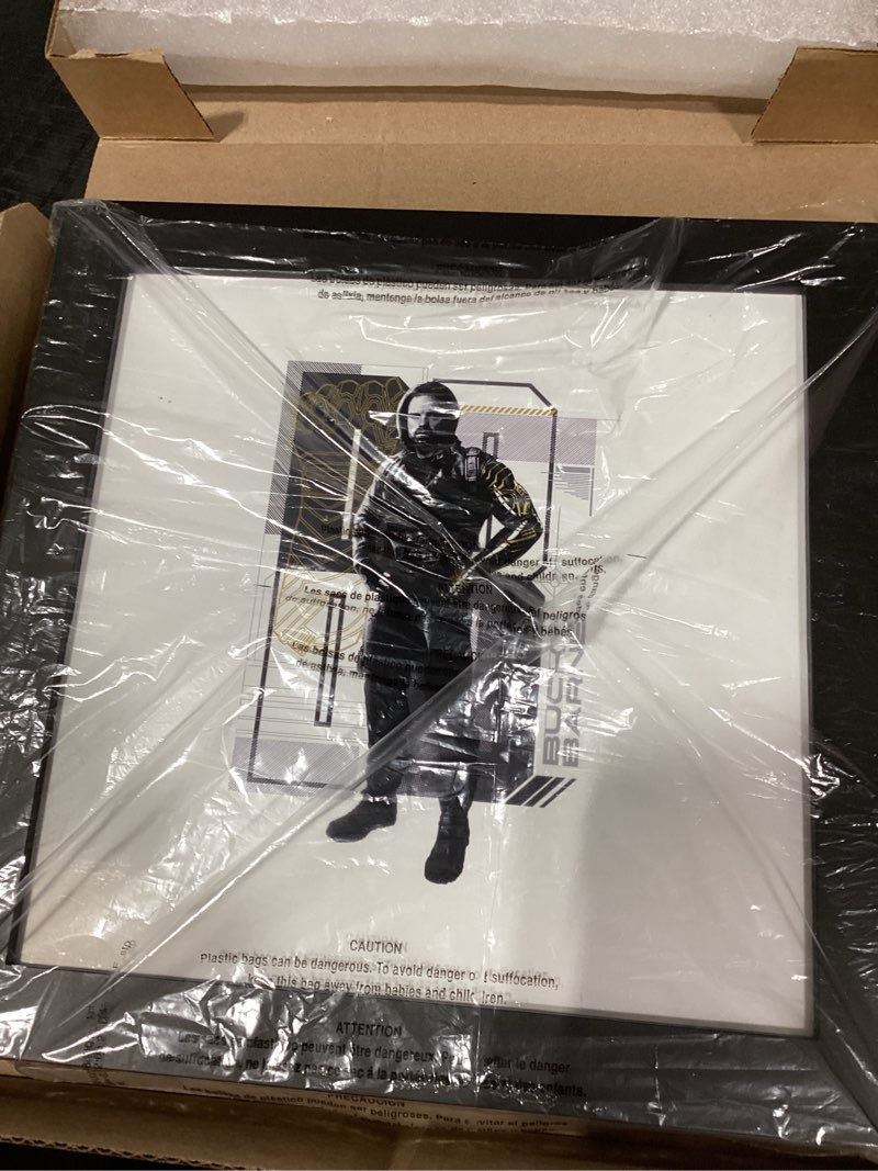 Condition photo showing Good Condition for similar product not like stock photo similarHWC Trading Sebastian Stan Bucky Barnes Framed Gifts Printed Signed Autograph Picture for Movie Memorabilia Fans - US Letter Size (8.5\" x 11\" Framed) Sebastian Stan