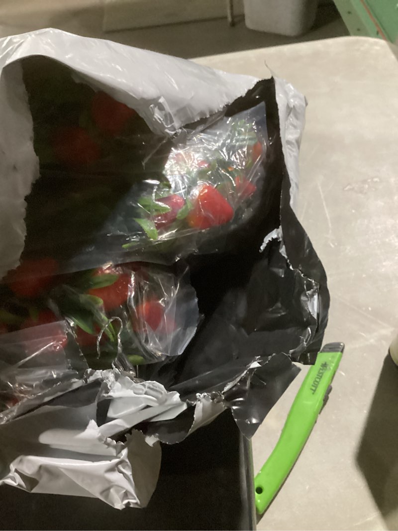 Condition photo showing Good Condition for PRETYZOOM Artificial Strawberry Branch Decor 1.77X8.27 Inches Fake Strawberry Stem for Home Party Decoration and DIY Floral Arrangements