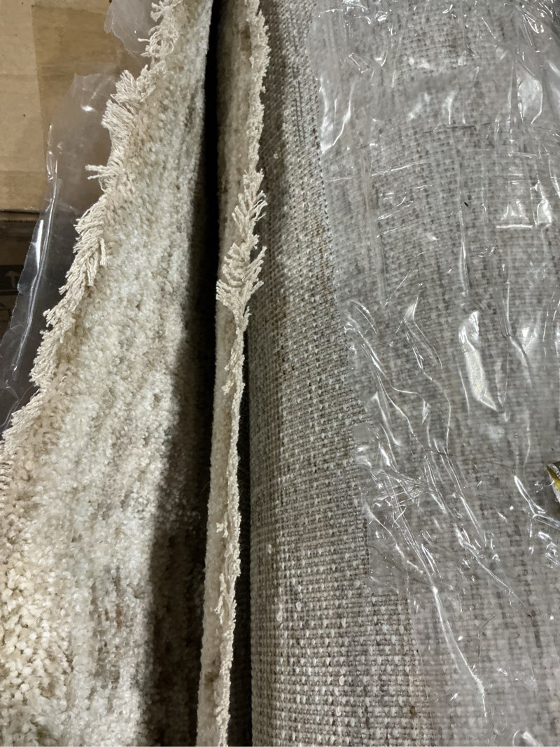 Condition photo showing Good Condition for ( similar) Nourison Home Versatile Natural Beige 8' x 10' Area Rug - Easy Clean, Non Shedding, Bed Room, Living Room, Dining Room, Kitchen (8' x 10') Natural Beige 8' x 10' (Rectangular)