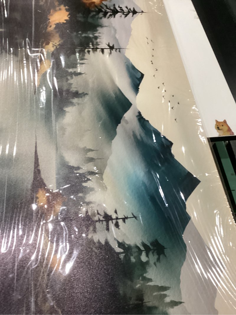 Condition photo showing New/Like New for Rustic Wall Art for Living Room Large Size Teal Mountain Tree Landscape Canvas Wall Art for Bedroom Office Decor 29 x 59 Inch 40"L x 20"W Teal
