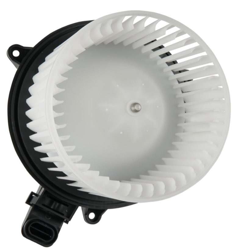 AC Heater Blower Motor HVAC with Fan Cage Compatible with 2009-2014 Ford F150, Ford Lobo, 2009-2017 Ford Expedition, 2009-2017 Lincoln Navigator Replaces PM9364, 700237, AL1Z19805A, CL1Z19805A, 75873