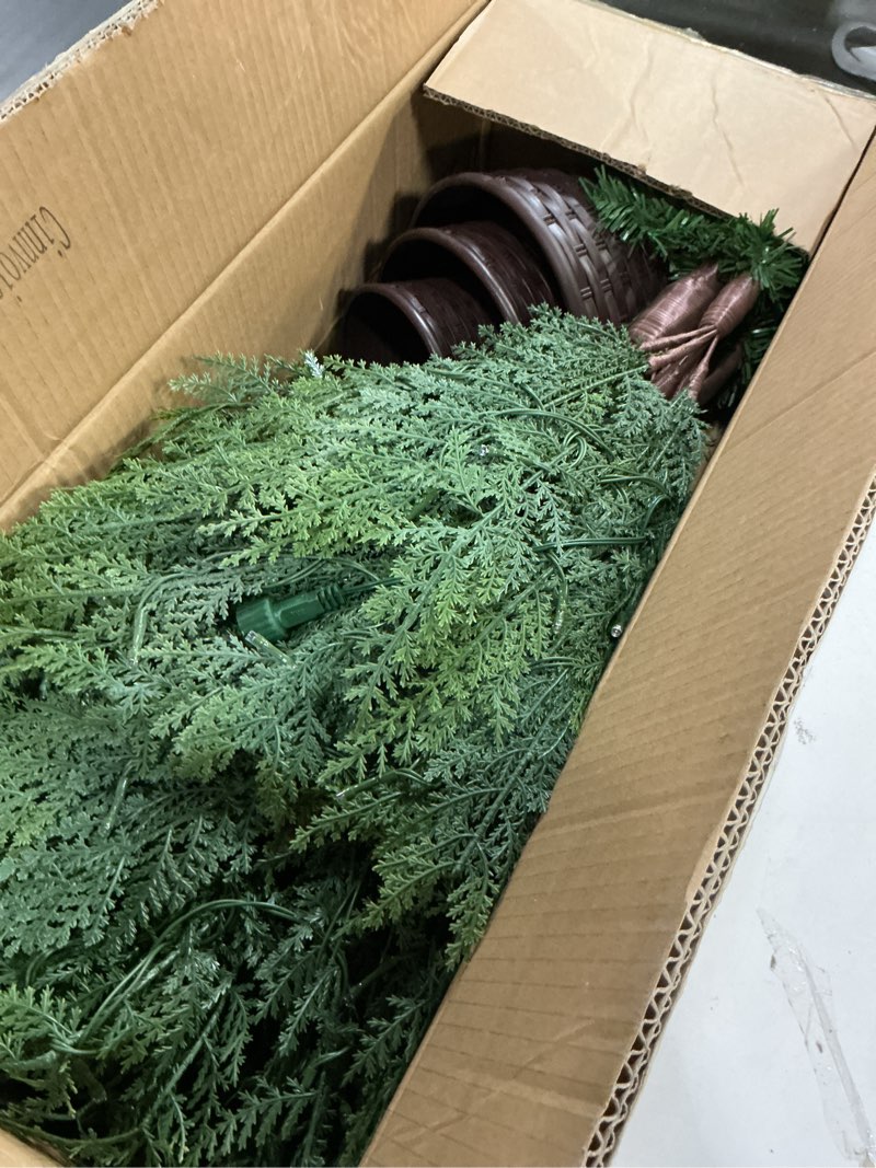 Condition photo showing Good Condition for Set of 3 2ft 3ft 4ft Pre-lit Twinkle Christmas Norfolk Pine Tree with 175 LED Light Realistic Artificial Trees with Woven Basket Base Xmas Holiday Decor for Indoor Living Room Home (Norfolk Pine Tree)