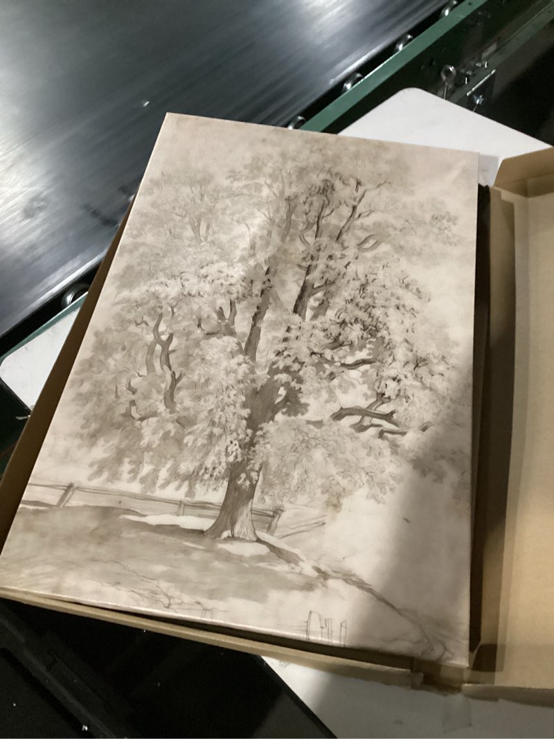 Condition photo showing As Is for QTESPEII Neutral Vintage Forest Tree Wall Art Set of 2 Antique Trees Sketch Painting Prints Nature Landscape Picture Wall Decor for Farmhouse Living Room Bedroom Home Office Kitchen, 11x14 Inch Framed Neutral Forest Tree 14L" x 11W"