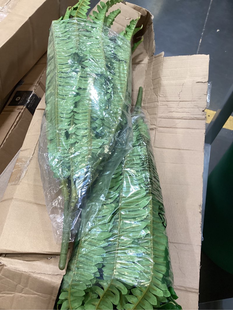 Condition photo showing Good Condition for 2 pcs boston fern bush fern collection by ashland®