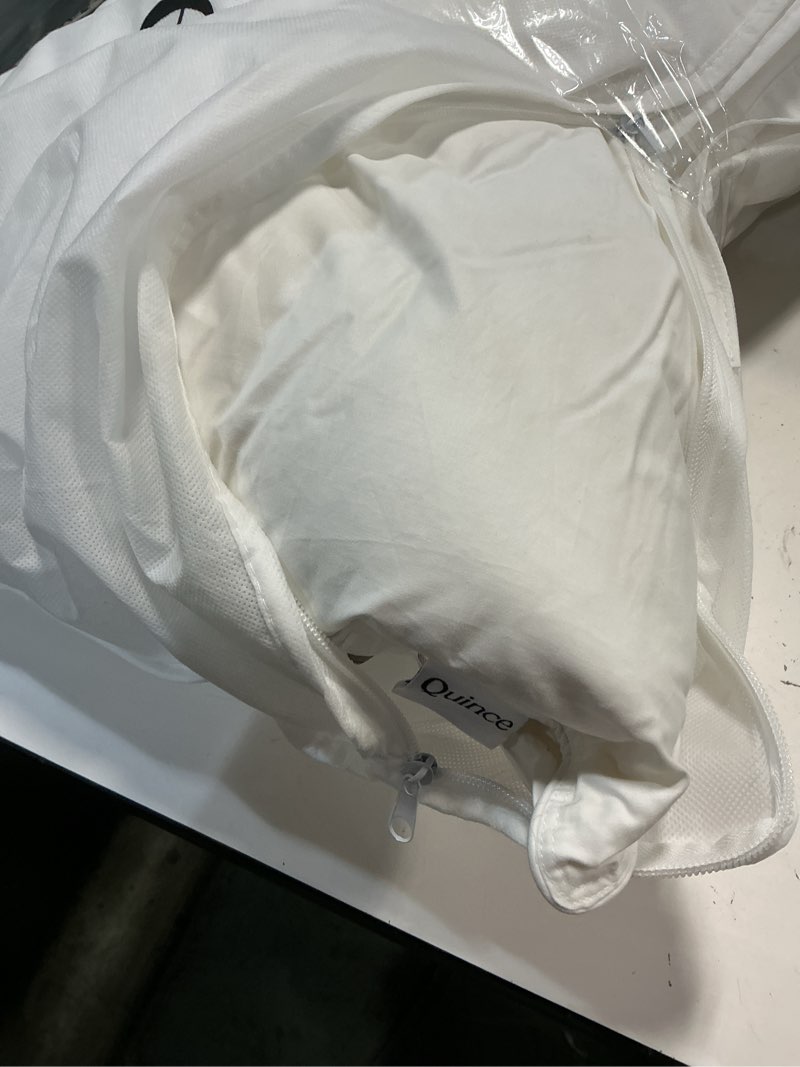 Condition photo showing Good Condition for luxe goose down pillow standard soft/medium