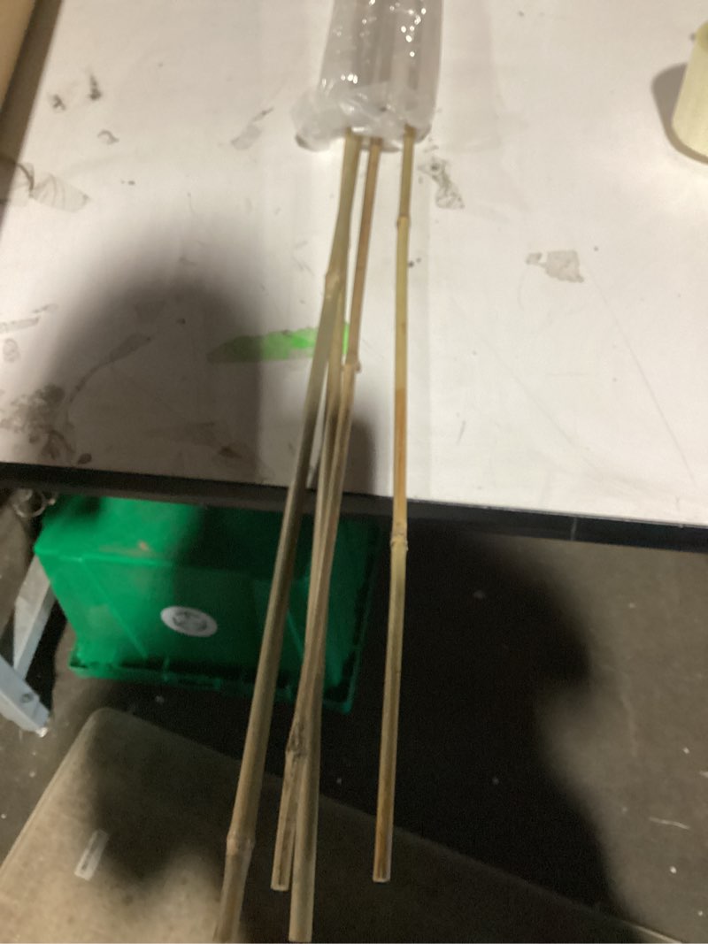 Condition photo showing New/Like New for bamboo stakes 4ft garden stakes plant stakes for indoor and outdoor climbing plants poles sticks support tomatoes eggplants beans  4ft, 4 pack