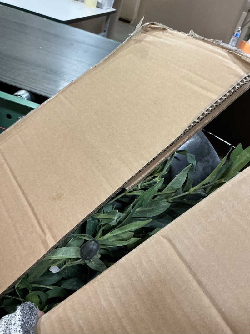 Condition photo showing As Is for artificial tree faux olive tree 8ft(3198leaves) tall fake olive plant in pot fake silk tree faux plants indoor