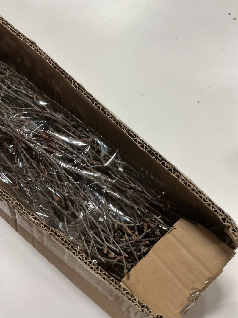 Condition photo showing Good Condition for Maasechs 40 Pcs 31" Real Birch Branches for Tall Vases Long Natural Tree Branches for Decorations De