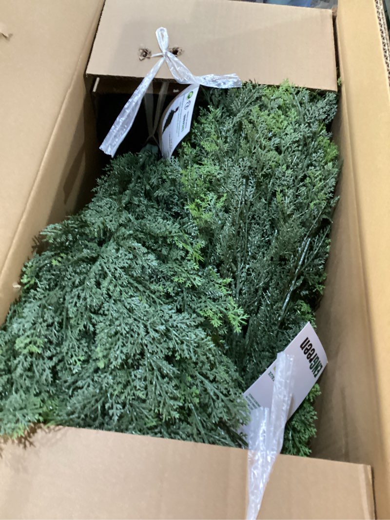 Condition photo showing New/Like New for 2Pack 3FT Artificial Cedar Trees in Pots, UV Resistant Faux Evergreen Plants for Indoor Outdoor Decoration, Modern Porch & Entryway Greenery