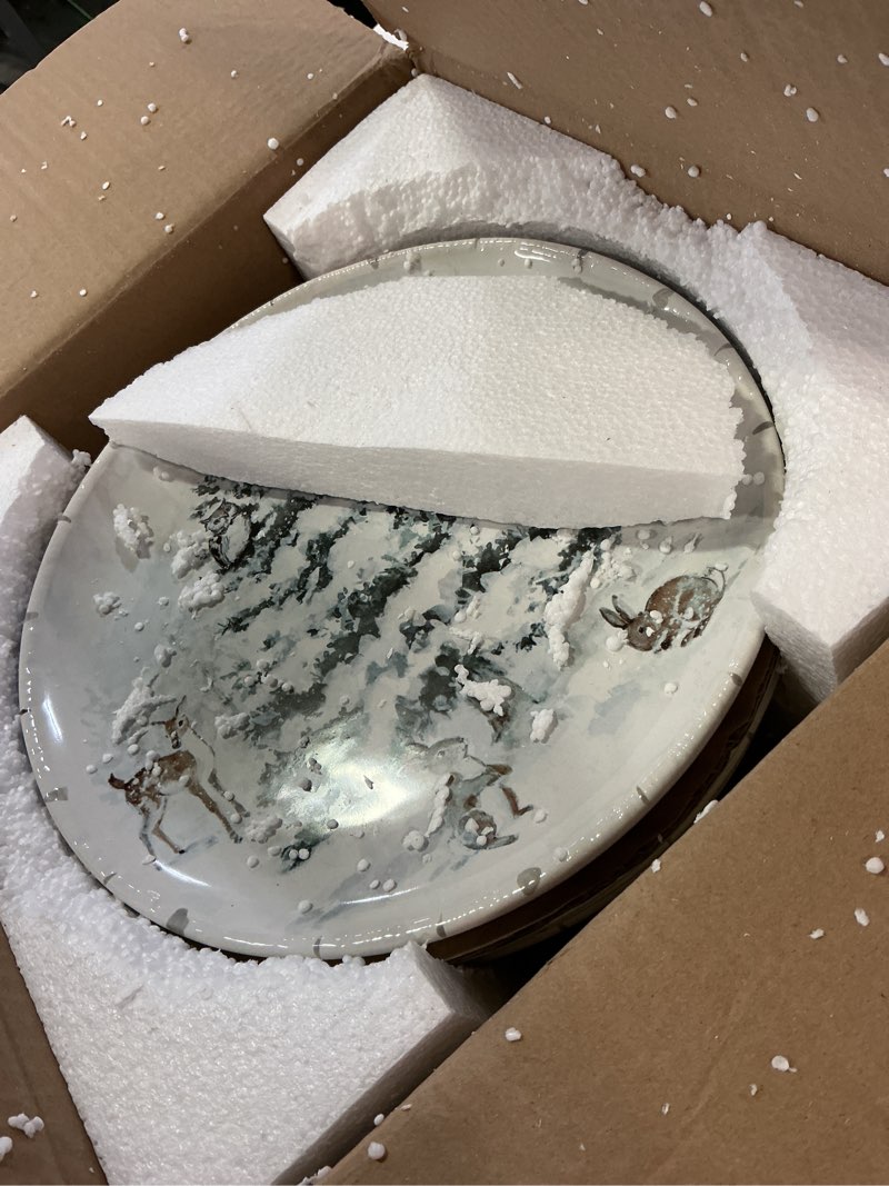 Condition photo showing Good Condition for certified international winter frost 11.25" dinner plates, set of 4