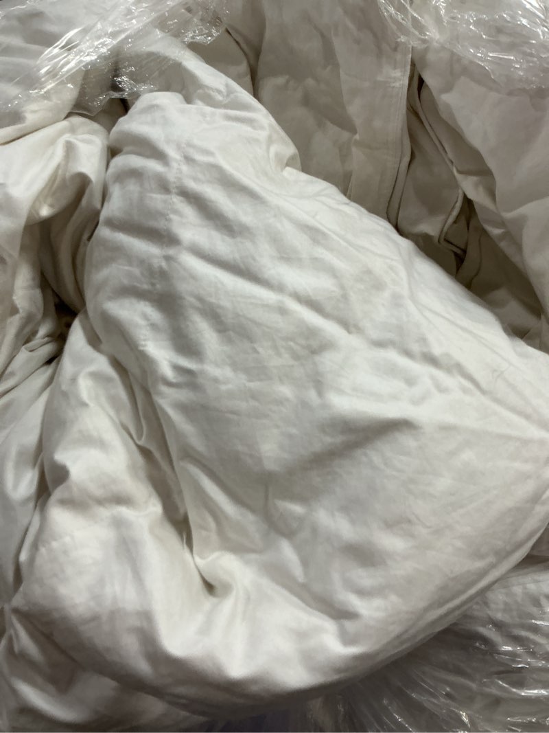 Condition photo showing As Is for all-season premium down comforter, king/cal king, down