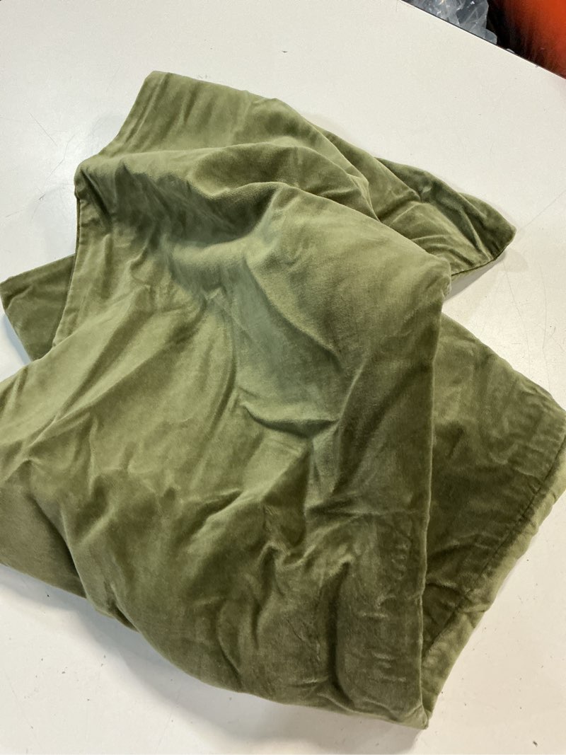 Condition photo showing Good Condition for quince cotton velvet lumbat pillow cover willowleaf