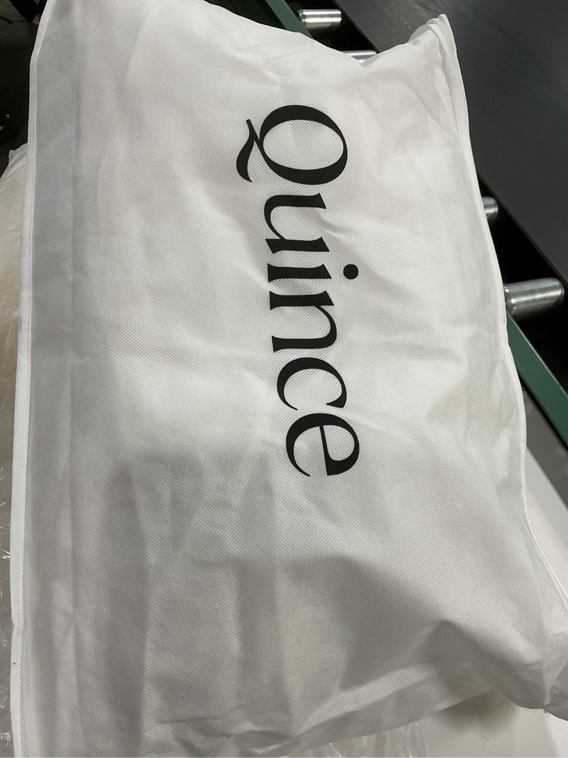 Condition photo showing As Is for quince premium down pillow standard medium