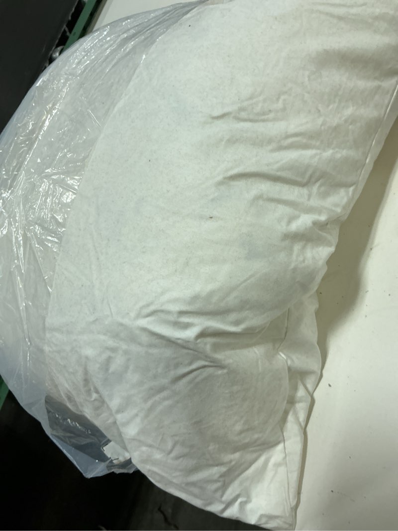 Condition photo showing As Is for (only one pillow)  premium feather pillow insert (set of 2), 22x22, no color