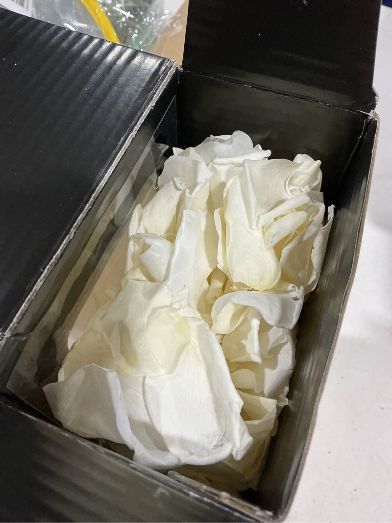 Condition photo showing Good Condition for real ivory rose petals, frozen preserved petals for, wedding party decorations, dried flower confetti, table centerpieces, bridal shower, 3.17 oz (90 g) ivory white 3.17oz (90g)