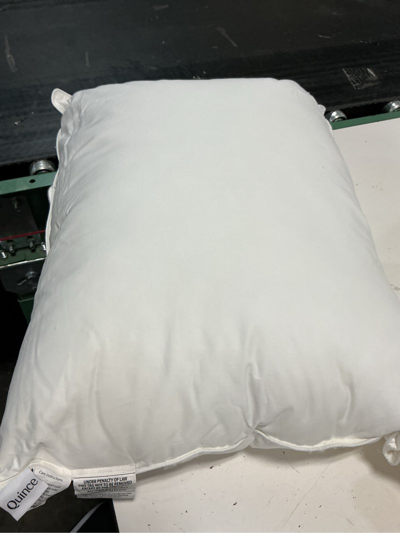 Condition photo showing Good Condition for premium down alternative pillow