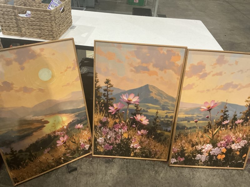 Condition photo showing Good Condition for lhiuem large boho sunset wildflower framed canvas wall art -16"x24"x3 | nature pink flower wall decor,blossom botanical mountain landscape artwork for living room,bedroom,dining room,office