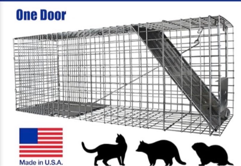 40 Inch 2-Door Humane Live Animal Trap Cage - Humane Catch and Release Traps for Stray Cats, Raccoon