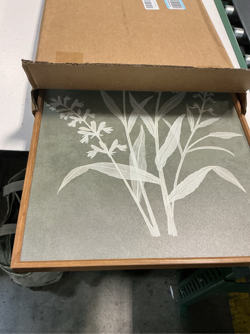 Condition photo showing New/Like New for anyzal large framed boho botanical wall art 16x24 inch neutral plant canvas wall decor minimalist floral farmhouse painting for living room bedroom dining room set of 3 24"l x 16"w neutral plant