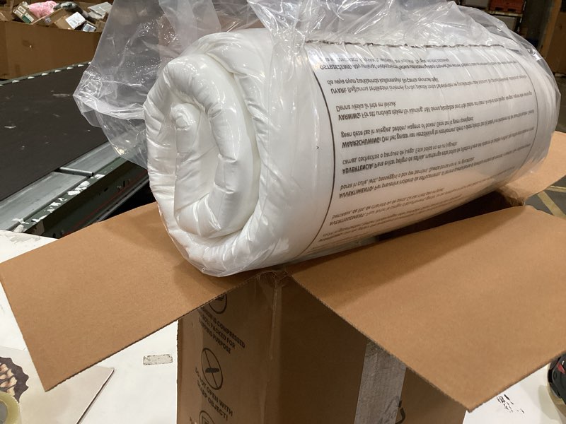 Condition photo showing Good Condition for utopia bedding throw pillows (set of 4, white) – 22 x 22 inches down alternative pillows for bed, sofa, and couch - fluffy decorative stuffer pillow for indoors & outdoors 22x22 inch 4