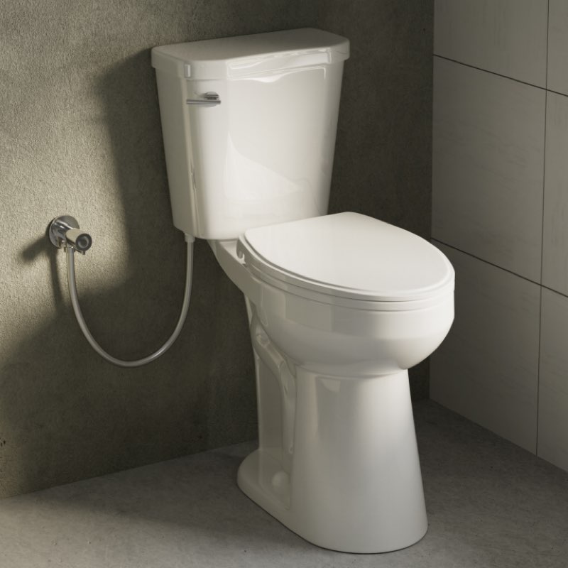 los flexi 21? two-piece extra tall toilet