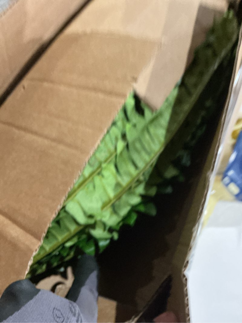 Condition photo showing Good Condition for gyerb 48" large artificial boston fern plants for outdoor indoor, fake ferns for front porch hanging, faux greenery bushes for home garden office decor, silk fern with realistic fronds, 88 branches 47“-88 leaves