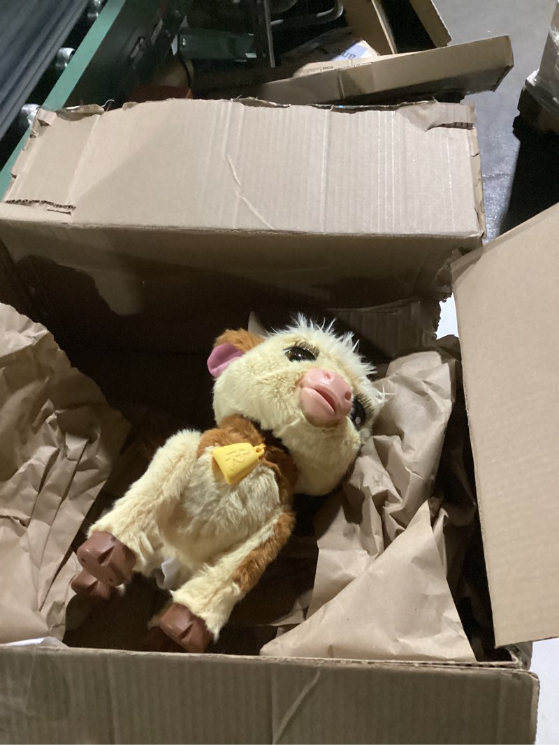 Condition photo showing Good Condition for FurReal Maggie The Feed & Follow Cow, 11 Inch Interactive Highland Mini Cow, for Boys and Girls, Ages 4 and up