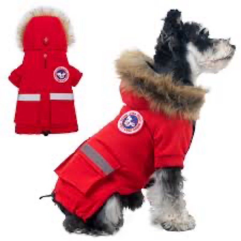 dog coat