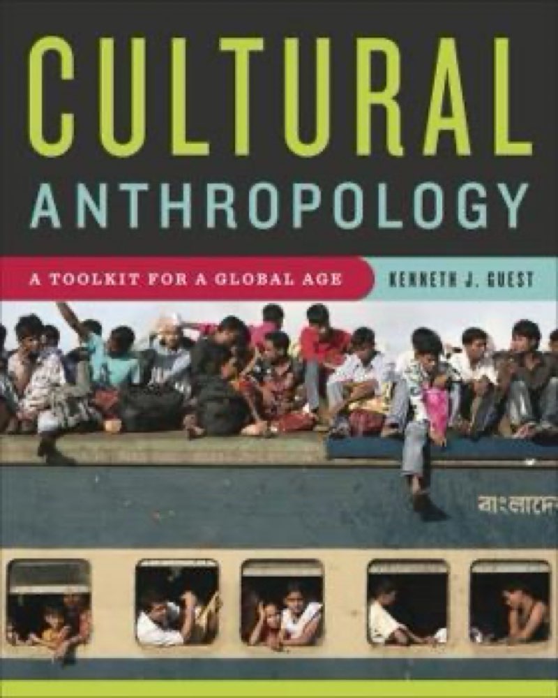 Cultural Anthropology A Toolkit for a Global Age 