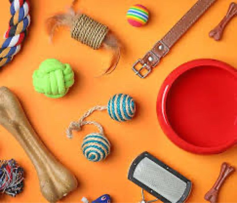 assorted pet supplies