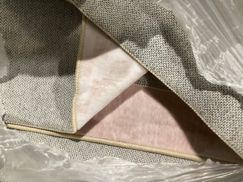 Condition photo showing Good Condition for Liora Manne Carmel Indoor/Outdoor Power Loomed Synthetic Blend Low Profile Area Rug - Transitional Botanical Floral Decorative (Botanical Sand) (4'10" x 7'6") 4'10" x 7'6" (Rectangular) Botanical Sand