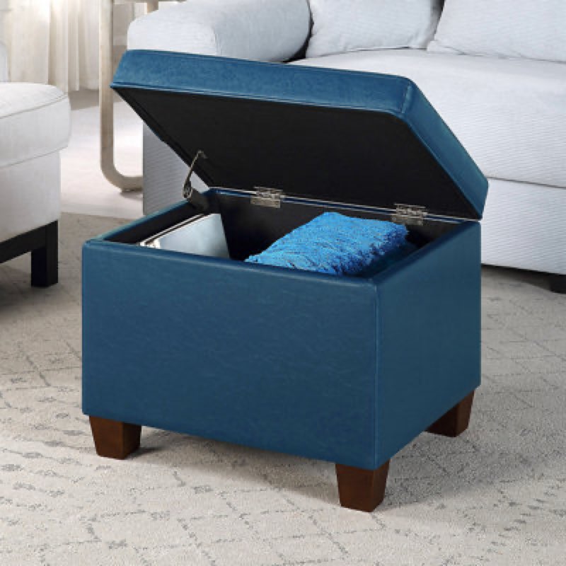 Akifa 21.50" Wide Upholstered Rectangle Storage Ottoman