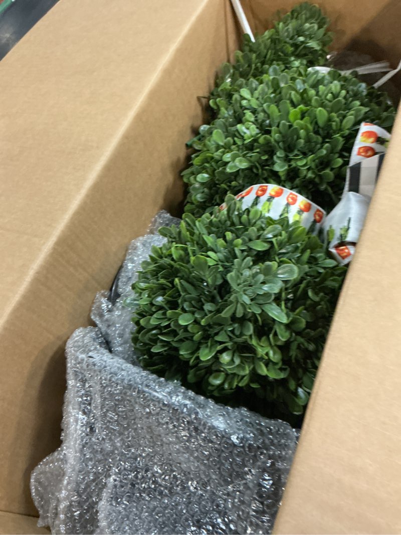 Condition photo showing As Is for 1 pcs bunny-shape boxwood topiary – 3 ft faux boxwood bunny, uv & weather-resistant, lifelike decorative garden sculpture for front porch, patio, lawn, backyard & indoor decor