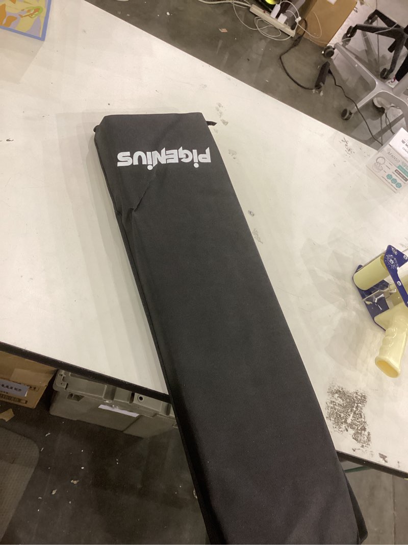 Condition photo showing New/Like New for Pigenius