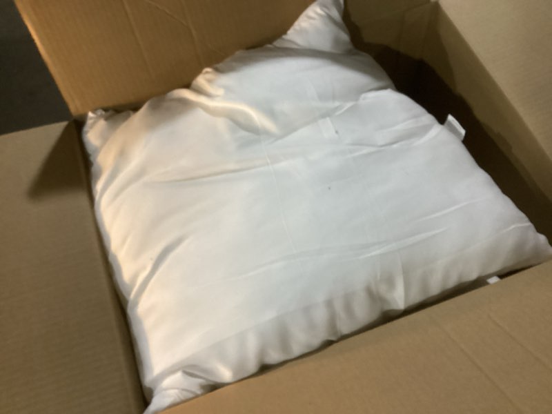 Condition photo showing Good Condition for 18 x 18 throw pillow insert - pack of 2 white, down alternative pillow inserts for decorative pillow covers, throw pillows for bed, couch pillows for living room (pack of 2) 18x18 inch (pack of 2)