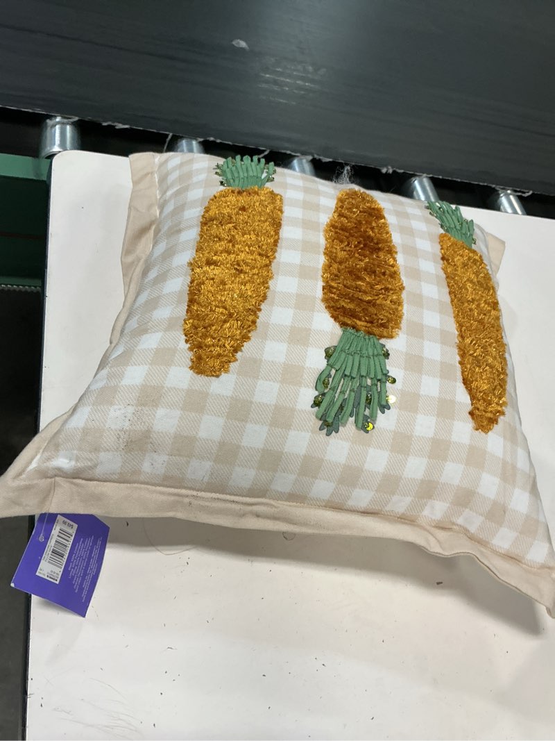 Condition photo showing Good Condition for celebrate together™ easter gingham carrots throw pillow