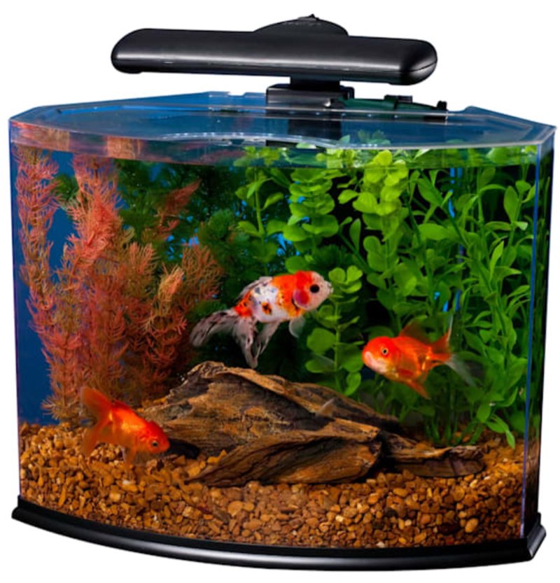 Tetra Crescent Acrylic Aquarium Kit 5 Gallons  Curved-Front Tank with LEDs