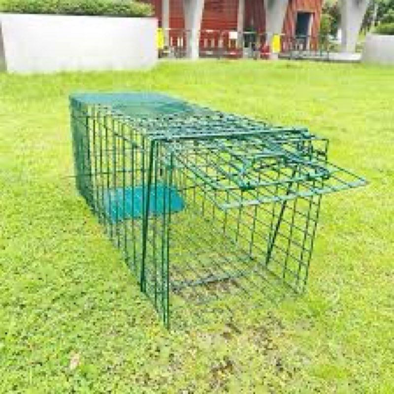 Collapsible Humane Live Animal Cage Trap No-Kill Trapping Kit for Humane Catch Release Rabbits, Stra